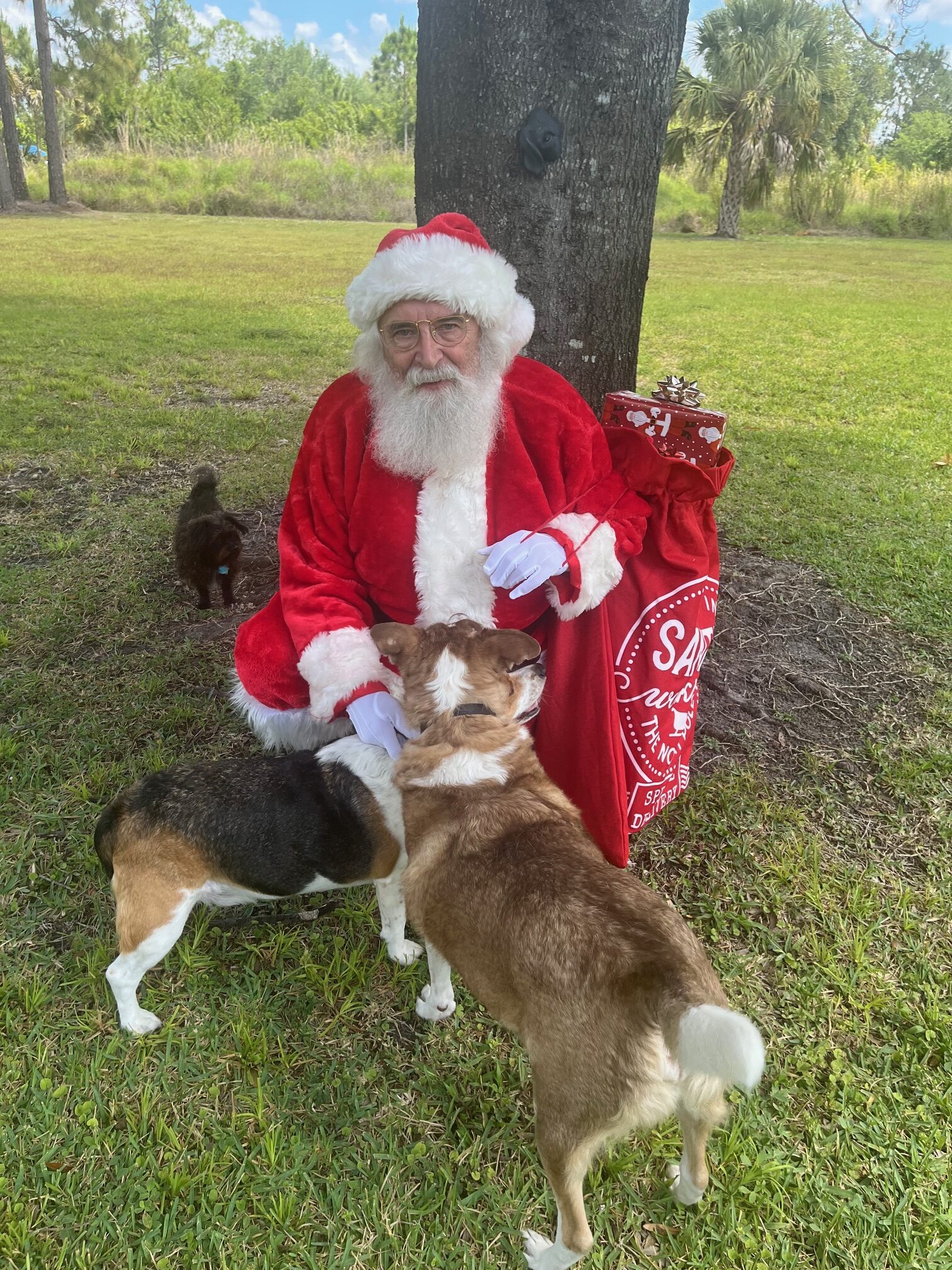 Santa Jim with dogs